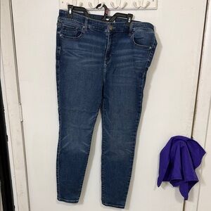 Lane Bryant Dark Blue Skinny Jeans